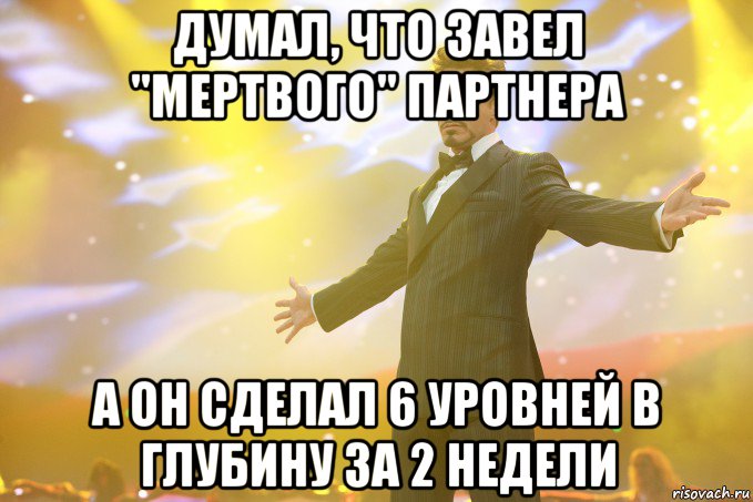 думал, что завел "мертвого" партнера а он сделал 6 уровней в глубину за 2 недели, Мем Тони Старк (Роберт Дауни младший)