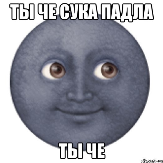 ты че сука падла ты че