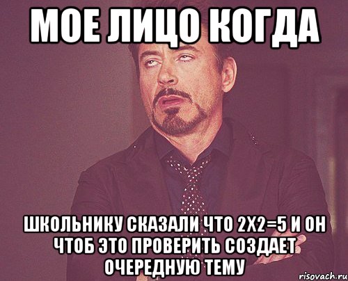 мое лицо когда школьнику сказали что 2х2=5 и он чтоб это проверить создает очередную тему, Мем твое выражение лица