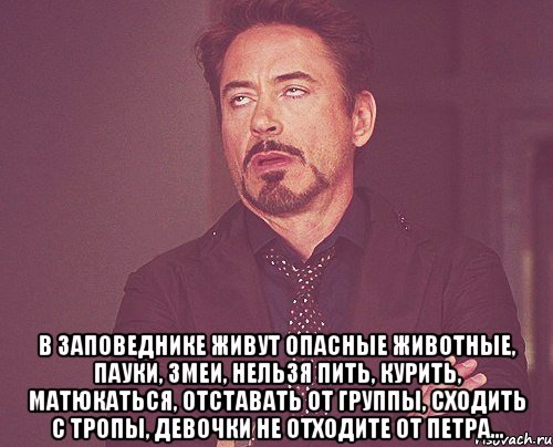  в заповеднике живут опасные животные, пауки, змеи, нельзя пить, курить, матюкаться, отставать от группы, сходить с тропы, девочки не отходите от петра..., Мем твое выражение лица