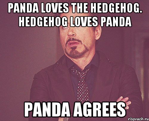 panda loves the hedgehog. hedgehog loves panda panda agrees, Мем твое выражение лица