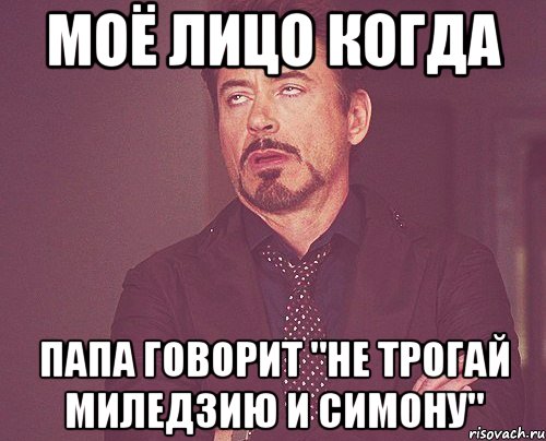 моё лицо когда папа говорит "не трогай миледзию и симону", Мем твое выражение лица