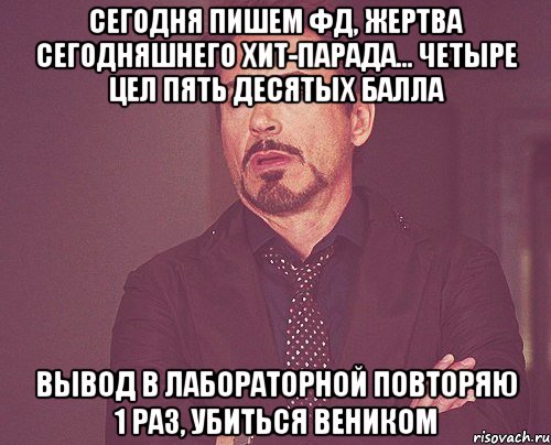 сегодня пишем фд, жертва сегодняшнего хит-парада... четыре цел пять десятых балла вывод в лабораторной повторяю 1 раз, убиться веником, Мем твое выражение лица