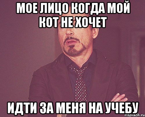 мое лицо когда мой кот не хочет идти за меня на учебу, Мем твое выражение лица