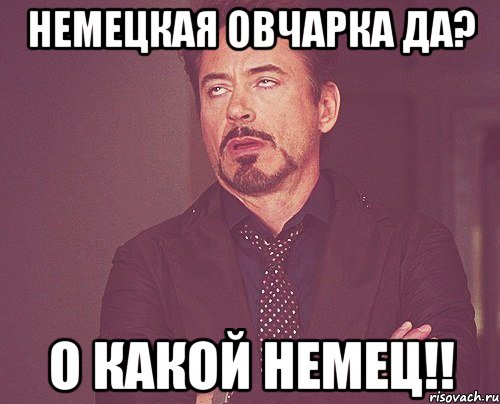 немецкая овчарка да? о какой немец!!, Мем твое выражение лица
