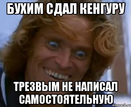 бухим сдал кенгуру трезвым не написал самостоятельную