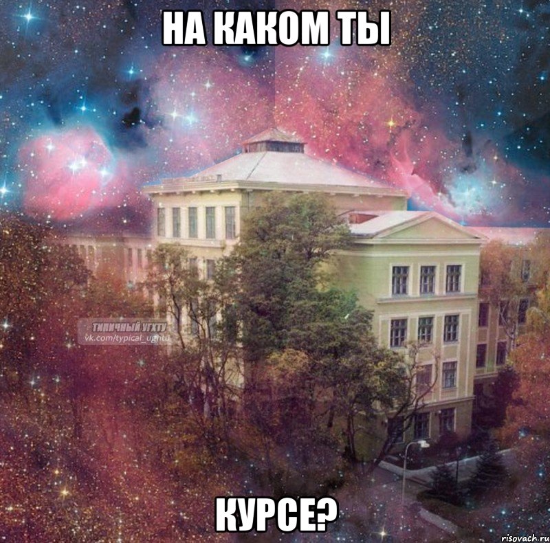 на каком ты курсе?