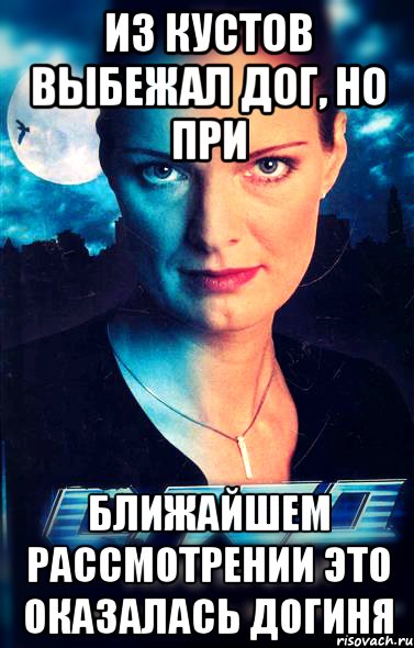 из кустов выбежал дог, но при ближайшем рассмотрении это оказалась догиня
