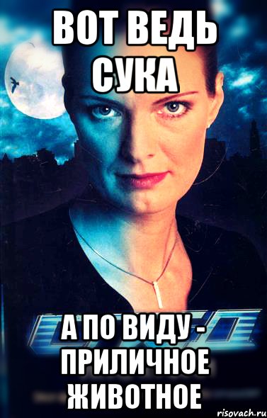 вот ведь сука а по виду - приличное животное
