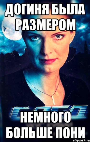 догиня была размером немного больше пони