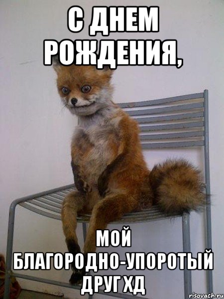 http://risovach.ru/upload/2013/09/mem/uporotaya-lisa_29041089_orig_.jpeg