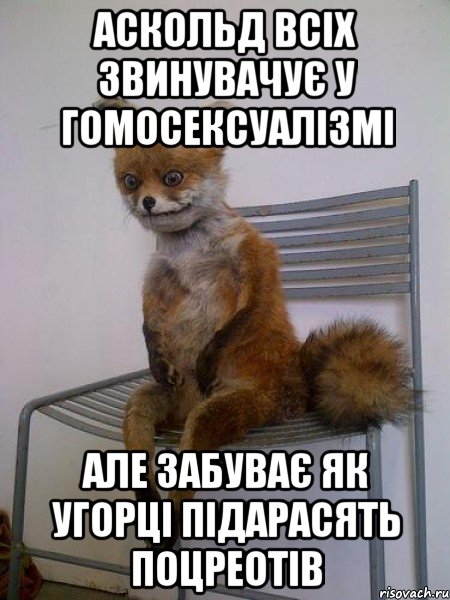 аскольд всіх звинувачує у гомосексуалізмі але забуває як угорці підарасять поцреотів, Мем Упоротая лиса