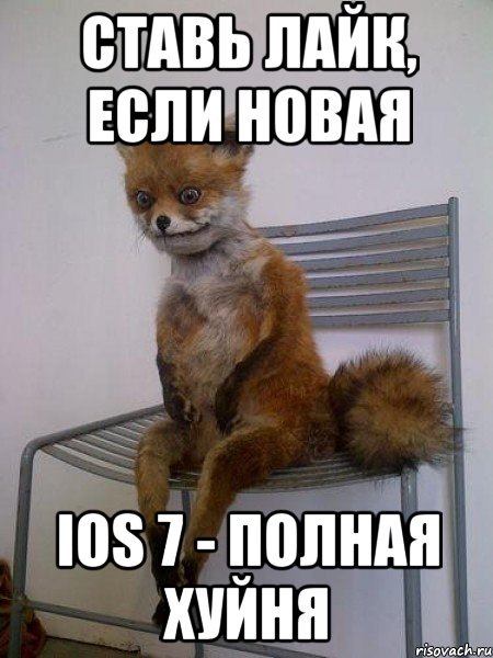 ставь лайк, если новая ios 7 - полная хуйня, Мем Упоротая лиса