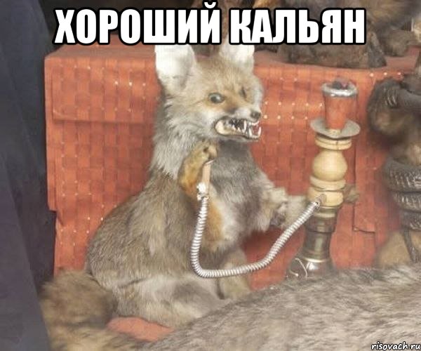 хороший кальян 