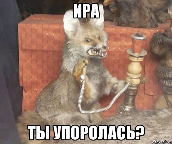 ира ты упоролась?