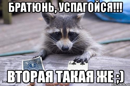 братюнь, успагойся!!! вторая такая же ;), Мем  енот играет в карты