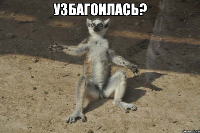узбагоилась? 