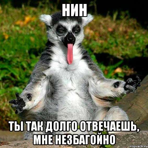 нин ты так долго отвечаешь, мне незбагойно