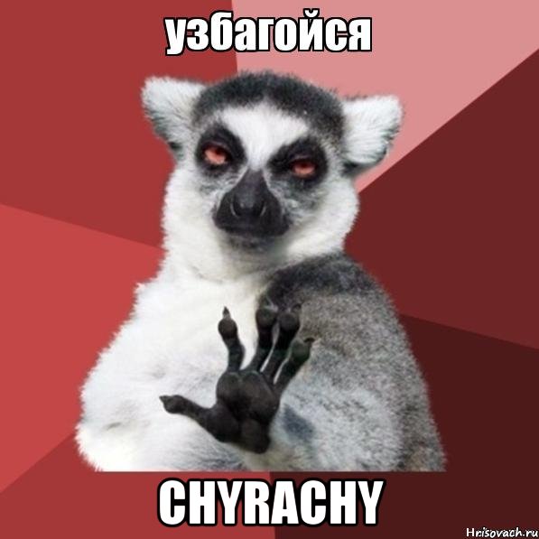  chyrachy, Мем Узбагойзя