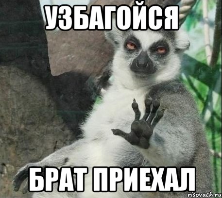 узбагойся брат приехал, Мем Все будет збагойно
