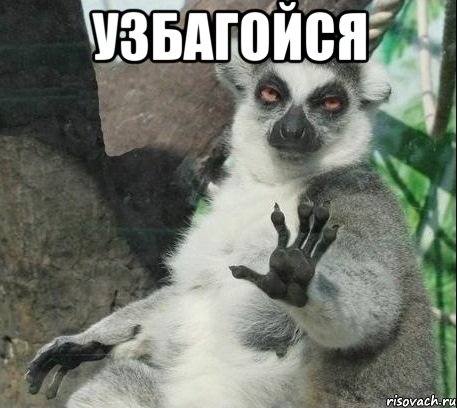 узбагойся 