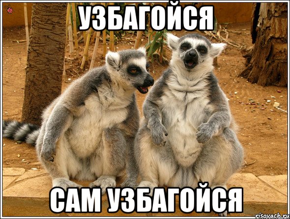 узбагойся сам узбагойся, Мем Узбагойся - Рисовач .Ру