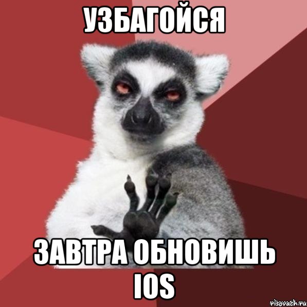 узбагойся завтра обновишь ios, Мем Узбагойзя