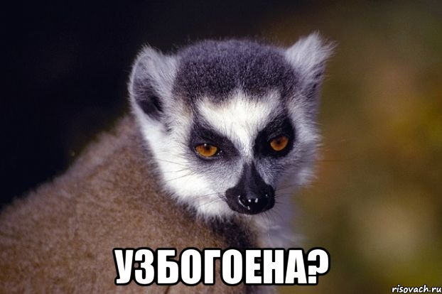  узбогоена?