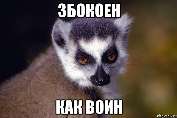 збокоен как воин