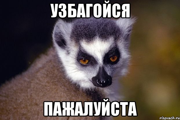 узбагойся пажалуйста