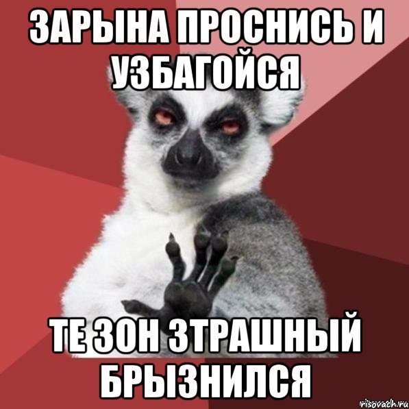 зарына проснись и узбагойся те зон зтрашный брызнился, Мем Узбагойзя