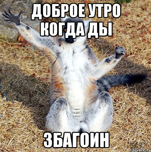 доброе утро когда ды збагоин