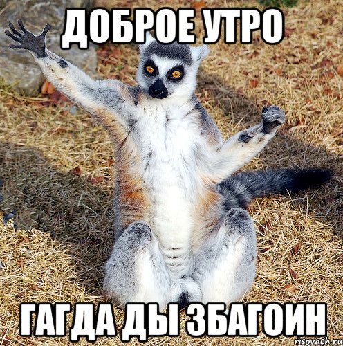 доброе утро гагда ды збагоин