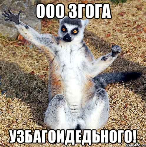 ооо згога узбагоидедьного!