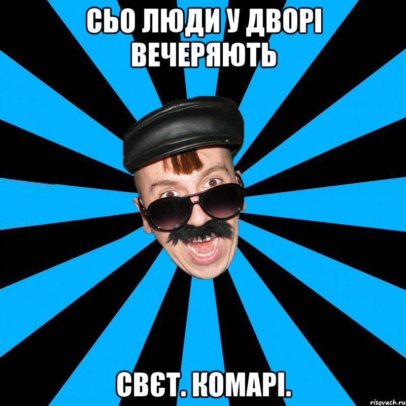 сьо люди у дворі вечеряють свєт. комарі.
