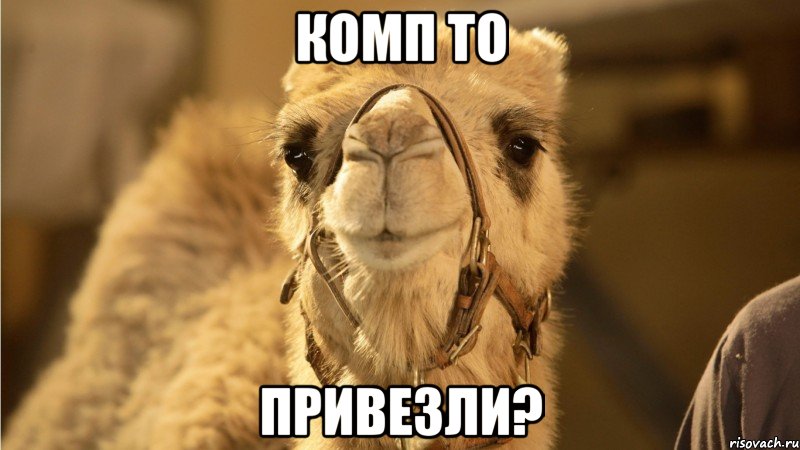 комп то привезли?