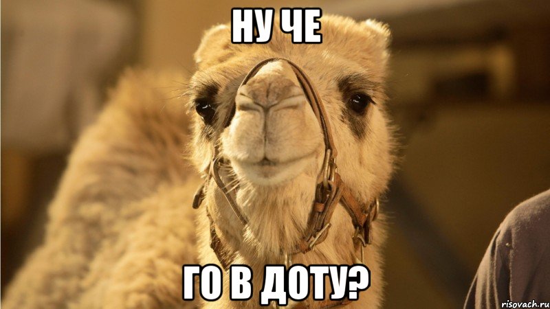 ну че го в доту?