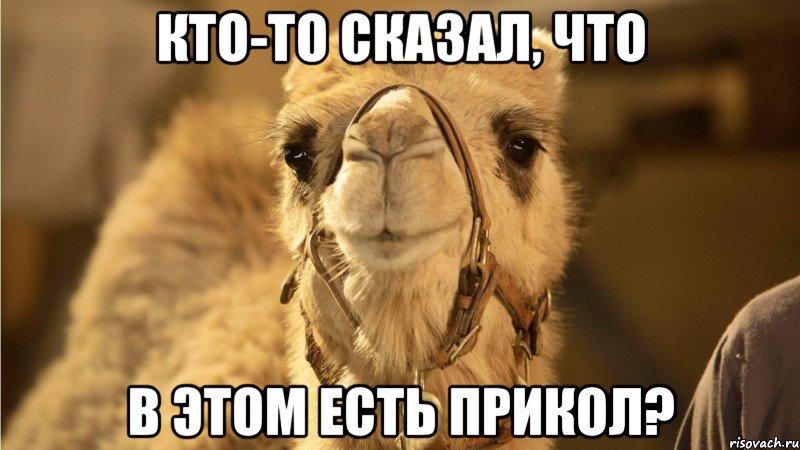 кто-то сказал, что в этом есть прикол?