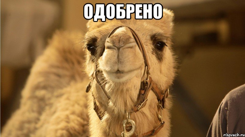 одобрено 