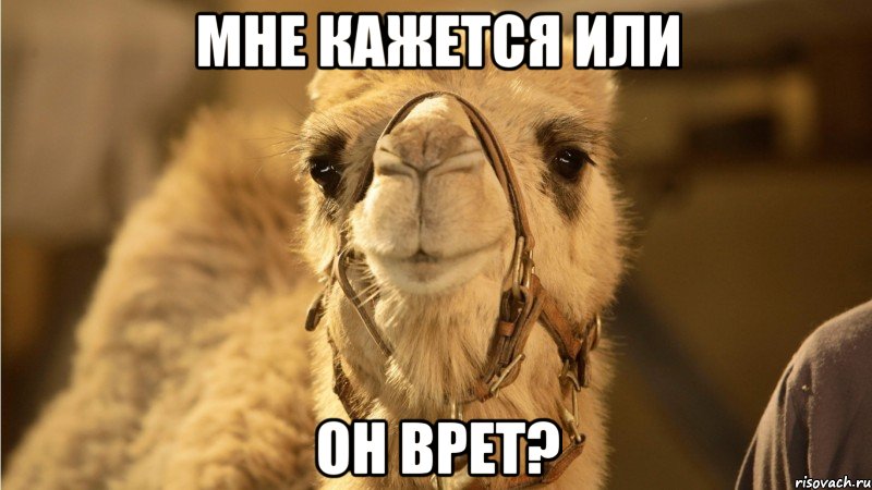 мне кажется или он врет?