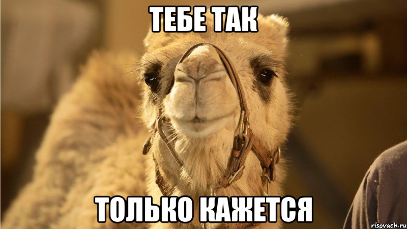 тебе так только кажется