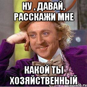 ну , давай, расскажи мне какой ты хозяйственный, Мем Ну давай расскажи (Вилли Вонка)