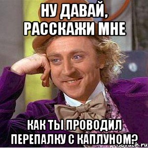 ну давай, расскажи мне как ты проводил перепалку с каплуном?, Мем Ну давай расскажи (Вилли Вонка)