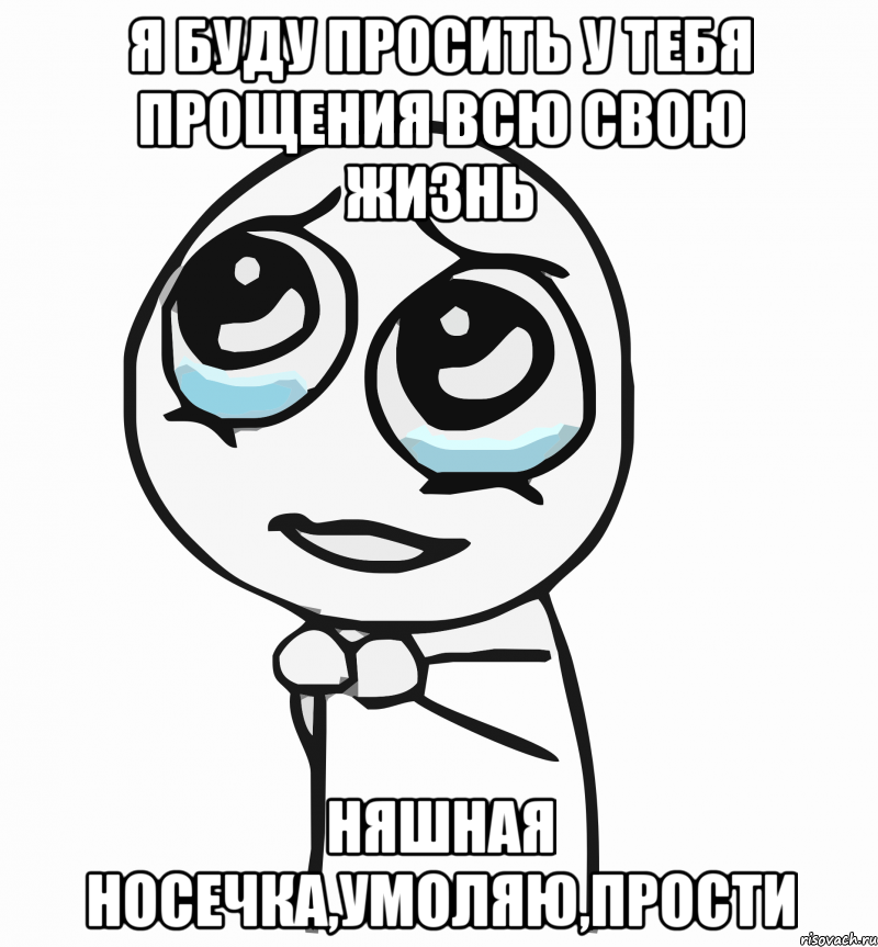 я буду просить у тебя прощения всю свою жизнь няшная носечка,умоляю,прости, Мем  ну пожалуйста (please)