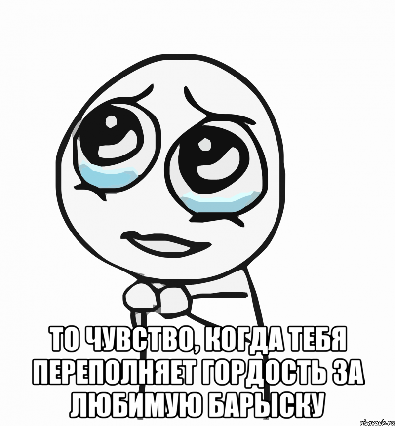  то чувство, когда тебя переполняет гордость за любимую барыску, Мем  ну пожалуйста (please)