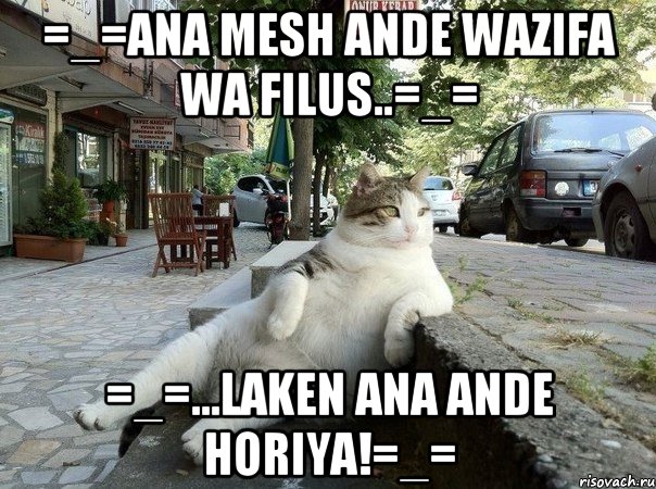 =_=ana mesh ande wazifa wa filus..=_= =_=...laken ana ande horiya!=_=, Мем   Все пофиг