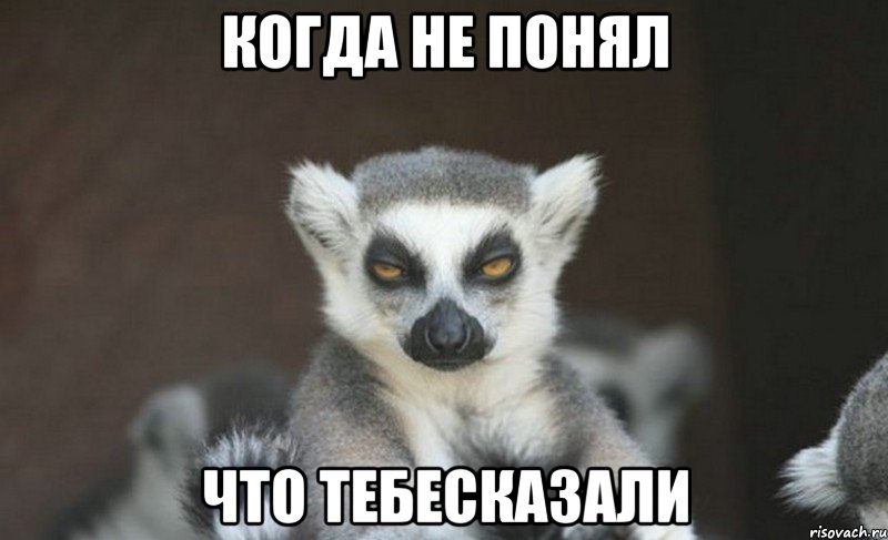 когда не понял что тебесказали
