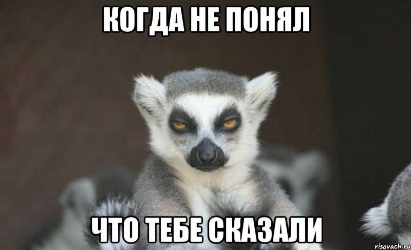 когда не понял что тебе сказали