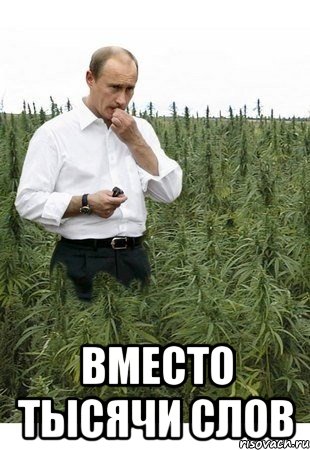  вместо тысячи слов