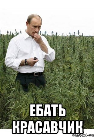  ебать красавчик